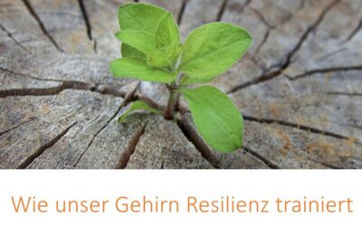 Wie unser Gehirn Resilienz trainiert